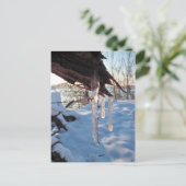 Carte Postale glace froide d'hiver après la première tempête de  (Debout devant)