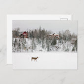 Carte Postale Glace & Neige | Cerf dans la neige Québec, Canada (Devant / Derrière)