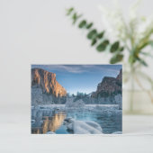 Carte Postale Glace & Neige | Givre dans la vallée de Yosemite (Debout devant)