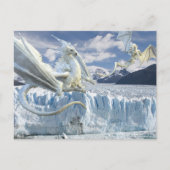 Carte Postale Glace neige - Glacier blanc (Devant)