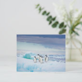 Carte Postale Glace & Neige | Manchots Adélie Antarctique (Debout devant)