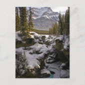 Carte Postale Glace & Neige | Parc national Jasper Alberta, Cana (Devant)