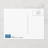 Carte Postale Glacier bleu (Dos)