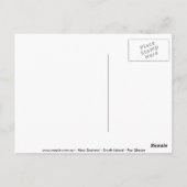 Carte Postale glacier fox (Dos)