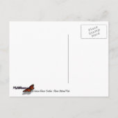 Carte Postale Glacier Jackson Vue sur le parc national Glacier (Dos)