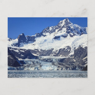 Carte Postale Glacier Johns Hopkins dans le parc national Glacie