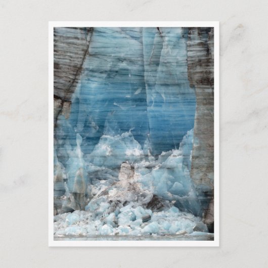 Carte Postale Glacier Lamplugh, parc national de Glacier Bay (Devant)