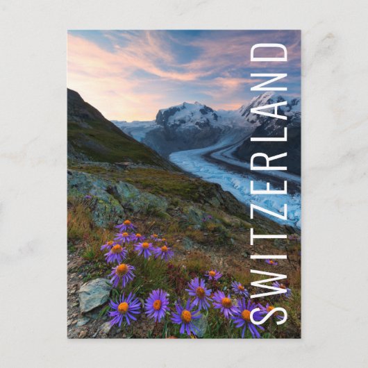 Carte Postale Glacier Monte Rosa | Suisse (Devant)