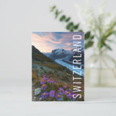 Carte Postale Glacier Monte Rosa | Suisse (Debout devant)