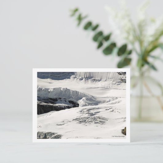 Carte postale Glacier Snow (Debout devant)