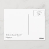 Carte postale Glade Creek Grist Mill (Dos)