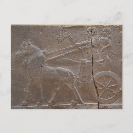 Carte Postale Gladiateurs (Devant)