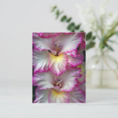 Carte Postale Gladiola beauté florale            (Debout devant)