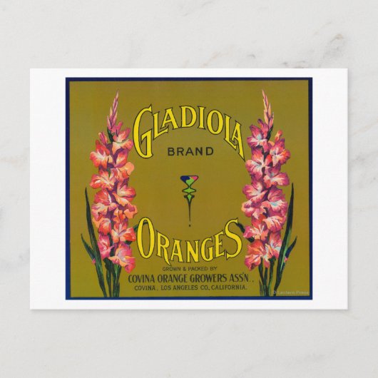 Carte Postale Gladiola Marque Citrus Étiquette (Devant)
