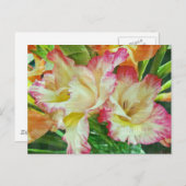 Carte Postale Gladiola texturé (Devant / Derrière)