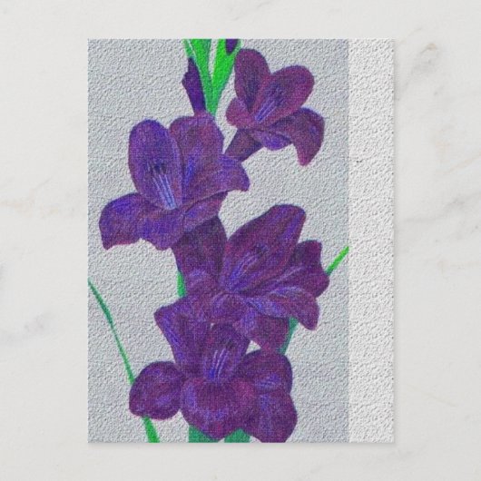 carte postale gladiolus (Devant)