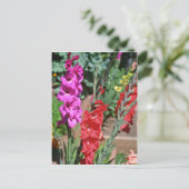 Carte Postale Gladiolus Rouge Et Rose Marche Fleurs (Debout devant)