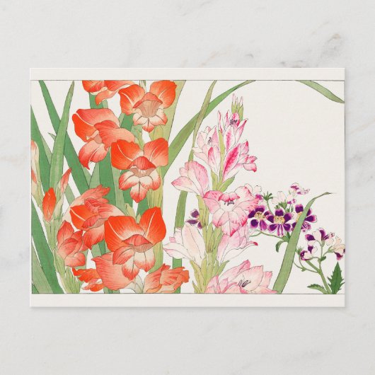 Carte Postale Gladiolus, Schizanthus par Tanigami Konan (Devant)