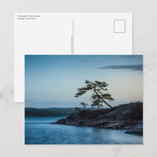 Carte Postale Glaskogen Suède