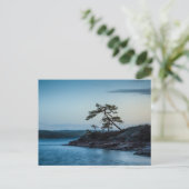 Carte Postale Glaskogen Suède (Debout devant)