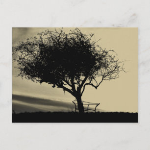 Carte Postale Glastonbury Hawthorn. Arbre sur Hill. Couleur Sepi