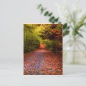 Carte Postale Glen Forest (Debout devant)