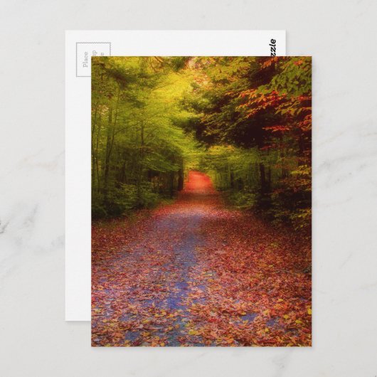 Carte Postale Glen Forest (Devant / Derrière)