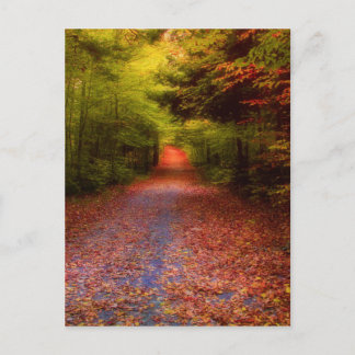 Carte Postale Glen Forest