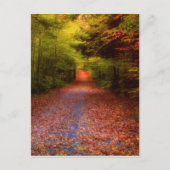 Carte Postale Glen Forest (Devant)