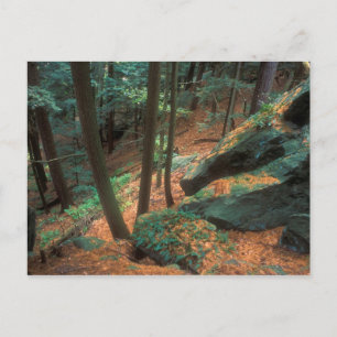 Carte Postale Glen Ravin