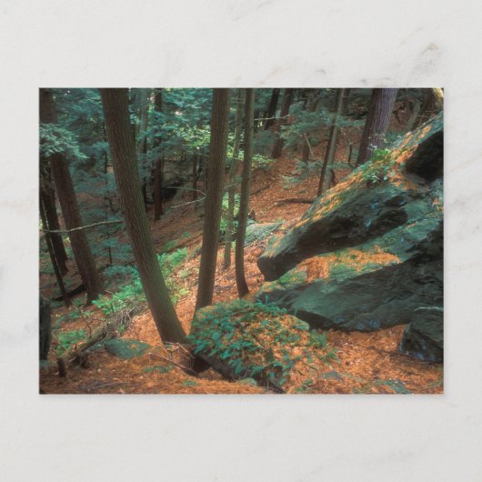 Carte Postale Glen Ravin (Devant)