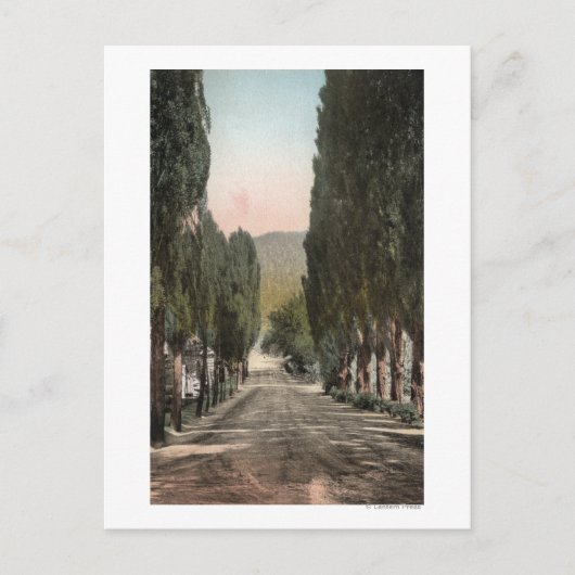 Carte Postale Glenwood Springs, Colorado (Devant)