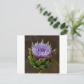 Carte Postale Globe Artichoke, Cynara Cardunculus, en fleur. (Debout devant)