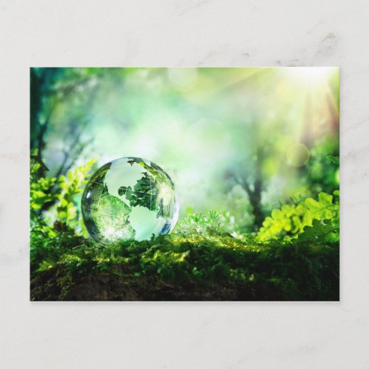 Carte Postale globe cristal dans une forêt verte (Devant)