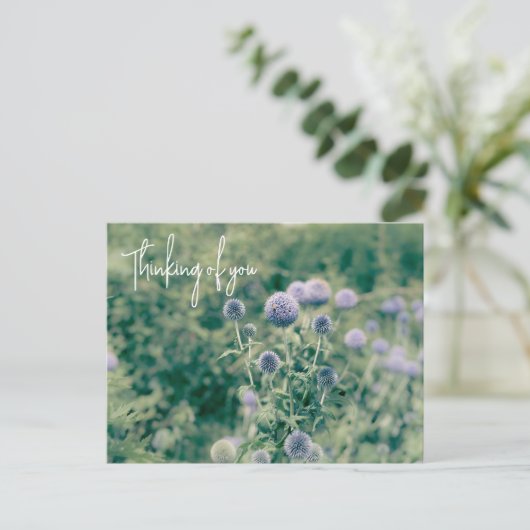 Carte Postale Globe Thistle Penser À Vous (Debout devant)