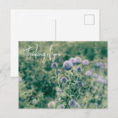 Carte Postale Globe Thistle Penser À Vous (Devant / Derrière)