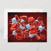 Carte Postale Globules Rouges Avec Leucocytes (Devant / Derrière)