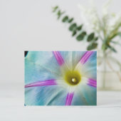 Carte Postale Gloire du matin (Debout devant)