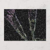 Carte Postale Glory_1f du matin (Devant)