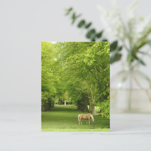 Carte Postale Gloucestershire, UK (Debout devant)