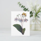 Carte Postale Gloxinia par Pierre Joseph Redoute (Debout devant)