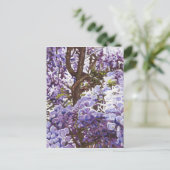 Carte Postale Glycines bleues 2011 (Debout devant)