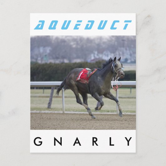 Carte Postale Gnal (Devant)