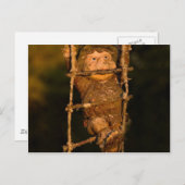 Carte Postale gnome de jardin (Devant / Derrière)