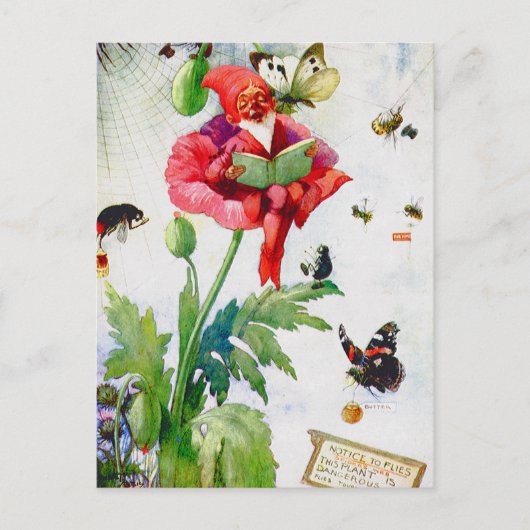 Carte Postale Gnome en fleur de pavot (Devant)