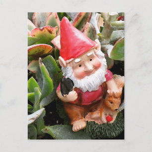 Carte Postale Gnome se cachant dans les plantes grasses