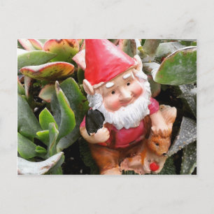 Carte Postale Gnome se cachant dans les succulents