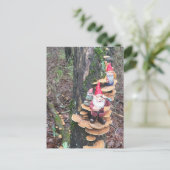 Carte Postale Gnomes et champignons de la queue de dinde (Debout devant)