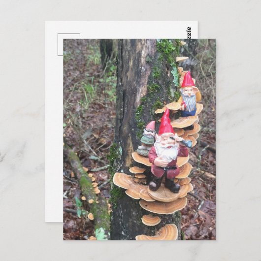Carte Postale Gnomes et champignons de la queue de dinde (Devant / Derrière)
