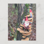 Carte Postale Gnomes et champignons de la queue de dinde (Devant)